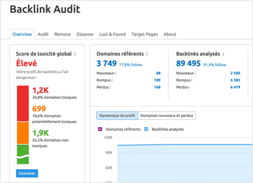 backlink audit Netlinking