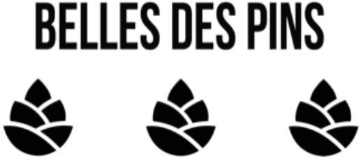 Belle des pins logo e1722546003350 1 Refonte SEO